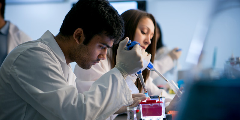 students at a whiteboard
